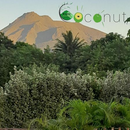 O Logis Du Morne Jacob "Coco", Le Morne-Rouge Martinique Apartman Kültér fotó
