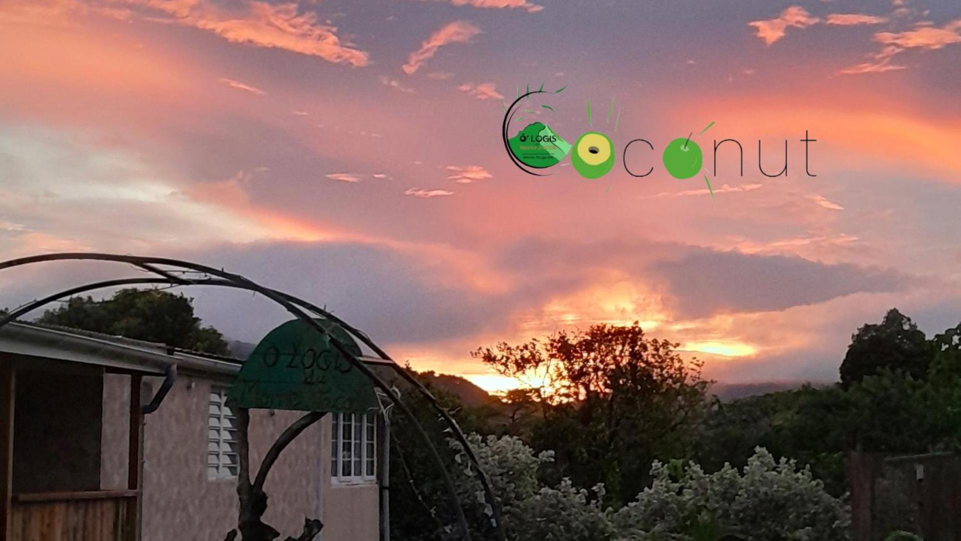 O Logis Du Morne Jacob "Coco", Le Morne-Rouge Martinique Apartman Kültér fotó