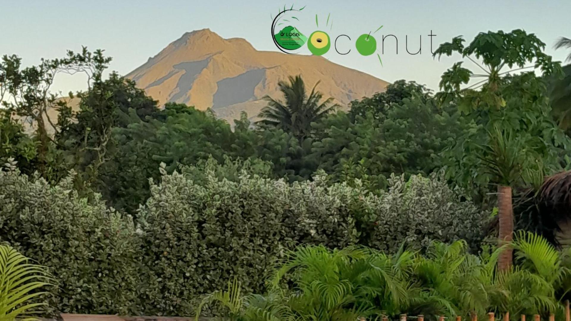 O Logis Du Morne Jacob "Coco", Le Morne-Rouge Martinique Apartman Kültér fotó